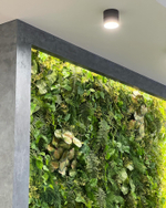 Вертикальное озеленение искусственными растениями и мхом