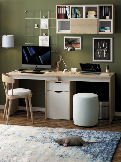 дуб сонома / белый