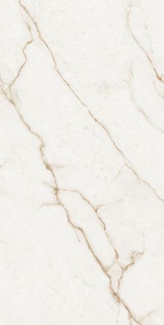 FORTE DEI MARMI QUARK