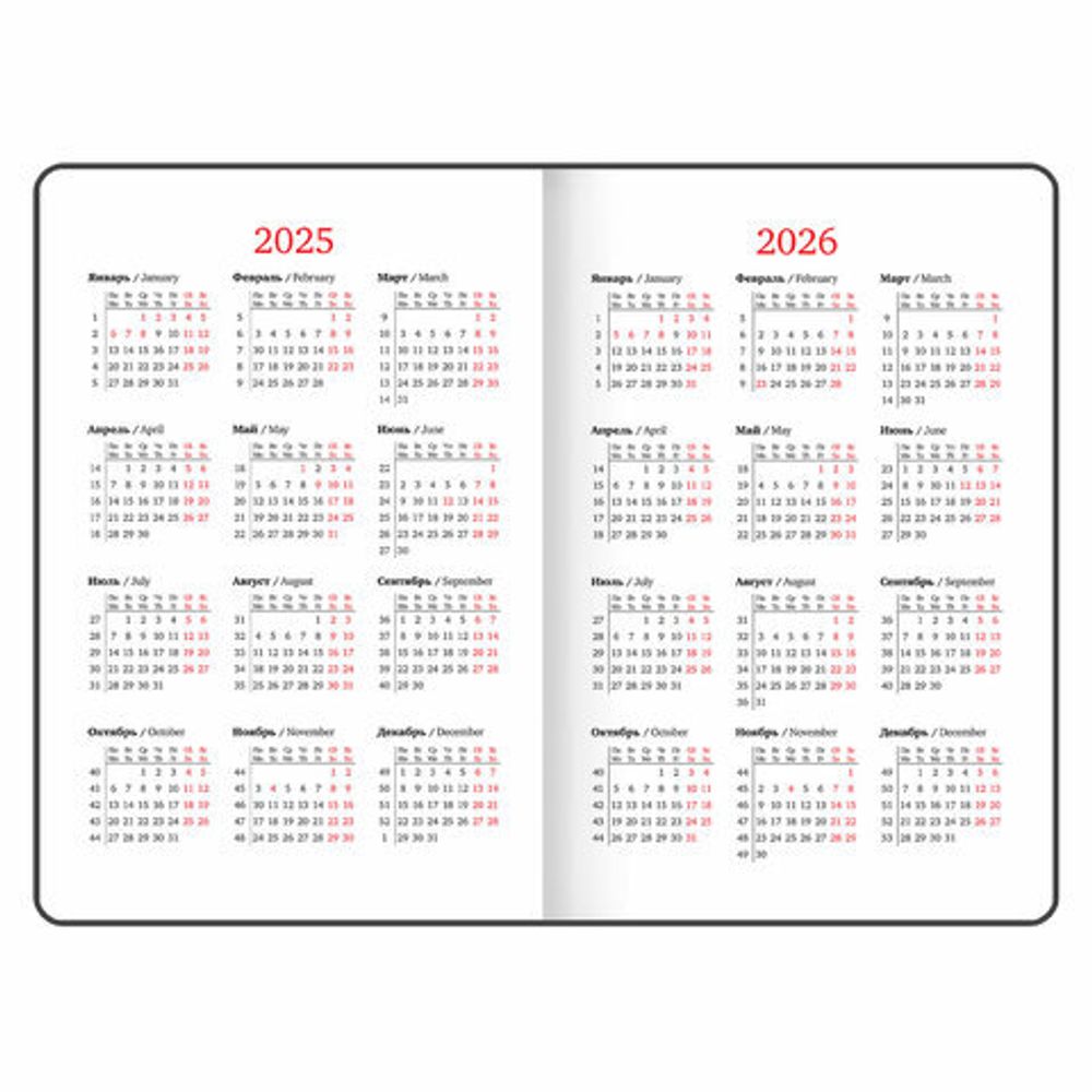 Еженедельник датированный 2025, А5, 145х215 мм, BRAUBERG "Party", под кожу, черный, 115970