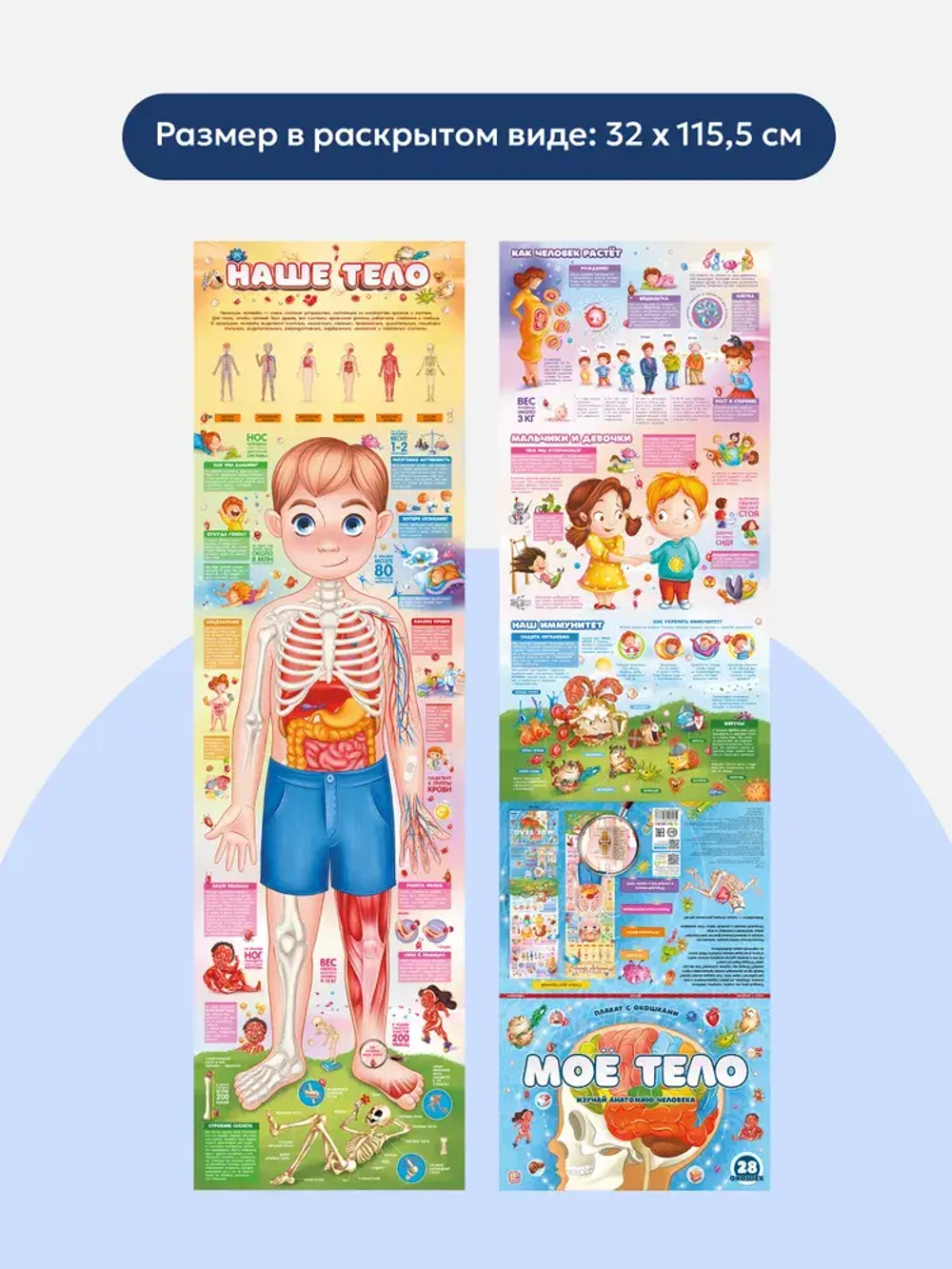 Плакат с окошками