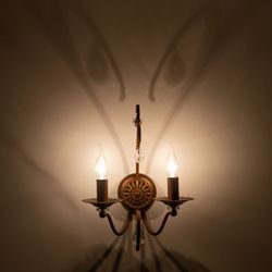 Citilux Марлен CL411321 Бра Кофейное