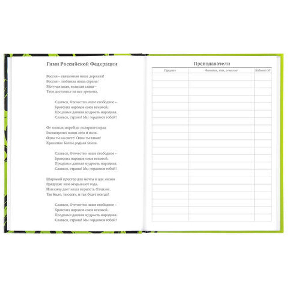 Дневник 5-11 класс 48 л., твердый, BRAUBERG, глянцевая ламинация, с подсказом, "Calligraphy", 106387