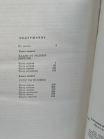 Арктический роман