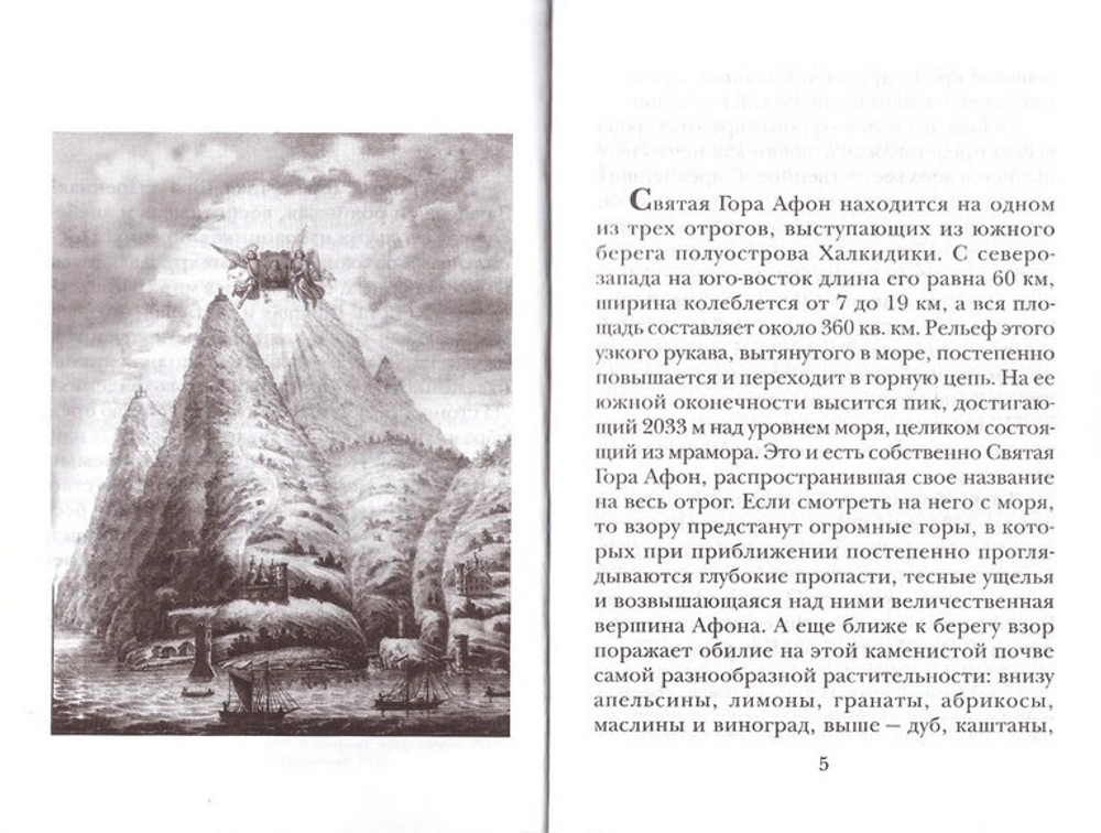 Озаренный светом Евангельской истины. Жизнеописание афонского инока Аникиты