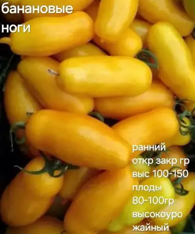 БАНАНОВЫЕ НОГИ