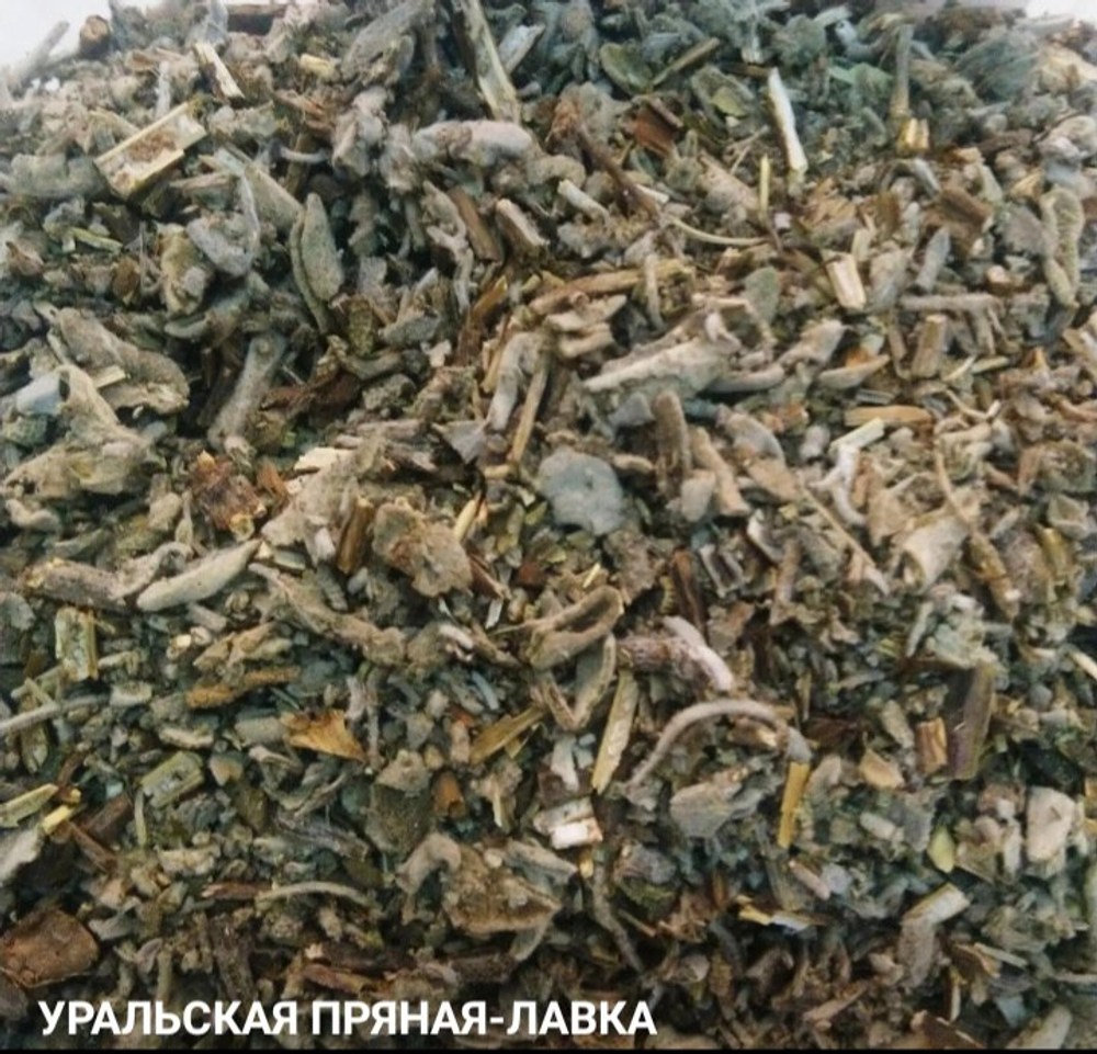 Шалфей 100 гр