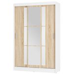 Шкаф-купе Денвер ШКК-03