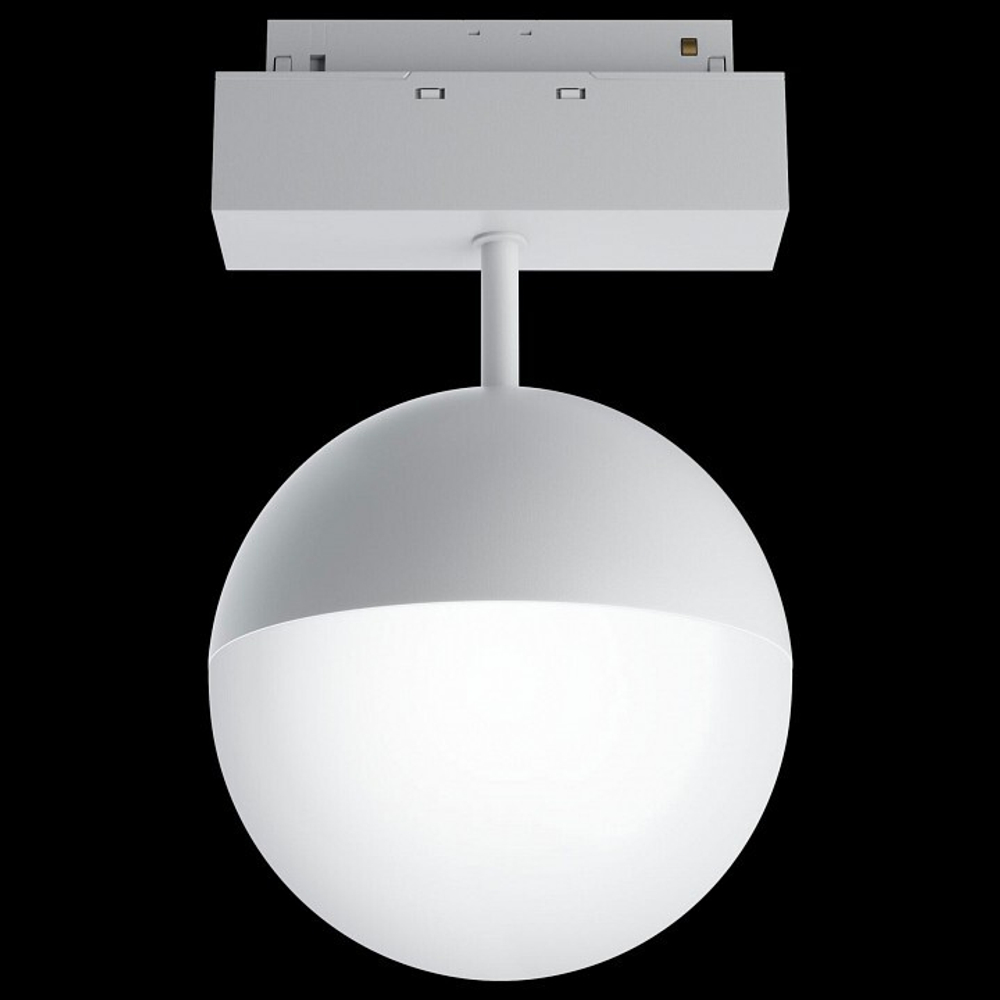 Трековый светильник Maytoni Technical TR017-2-10W3K-W
