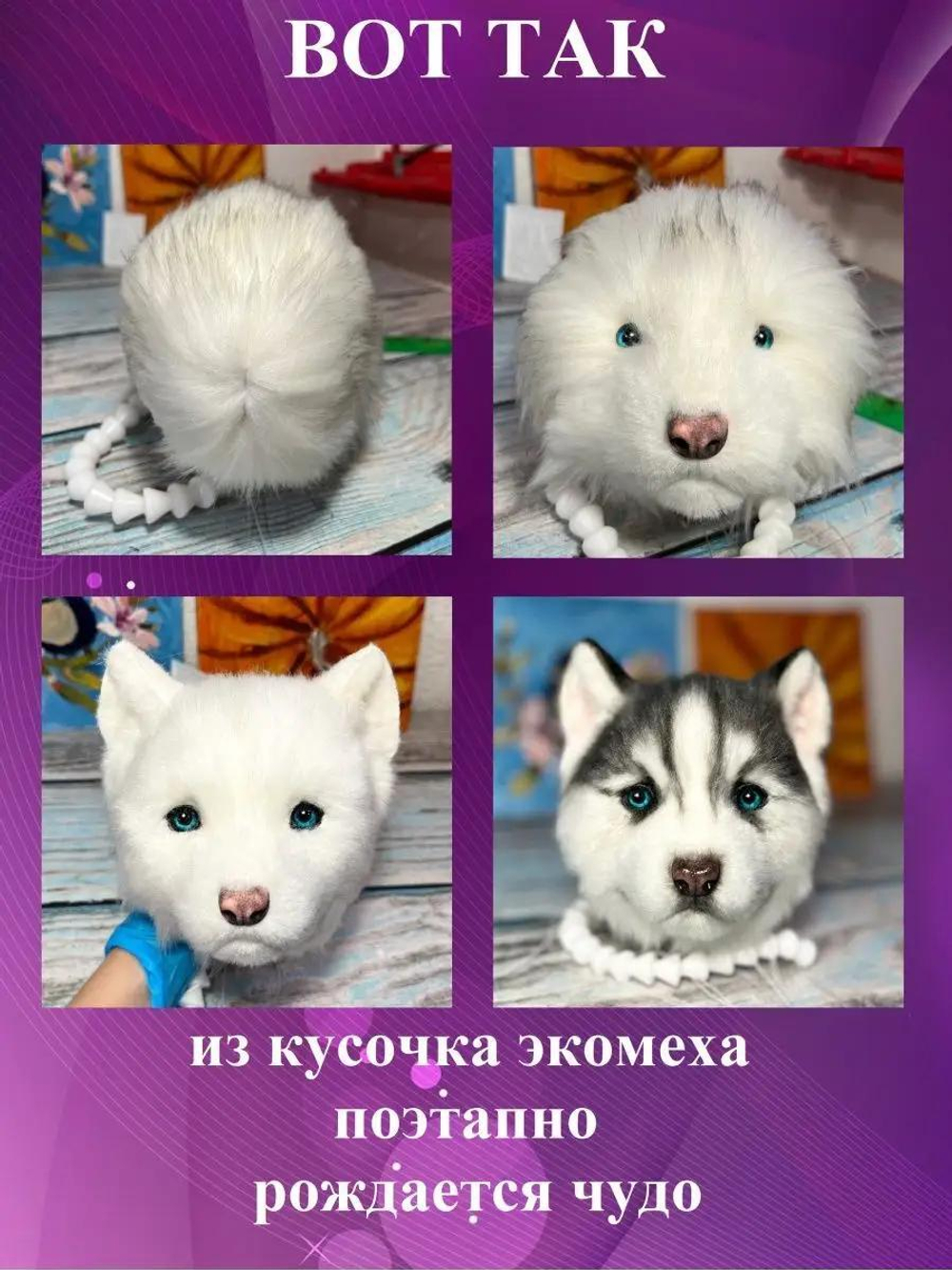 МК с набором для шитья "Реалистичный хасенок"