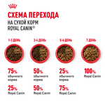 Royal Canin Digestive Care Дайджестив Кэа Корм сухой профилактика нарушений пищеварительной системы для взрослых кошек 400г
