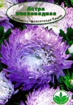Семена Астра пионовидная Серебристо-Фиолетовая Башня, 0,3гр