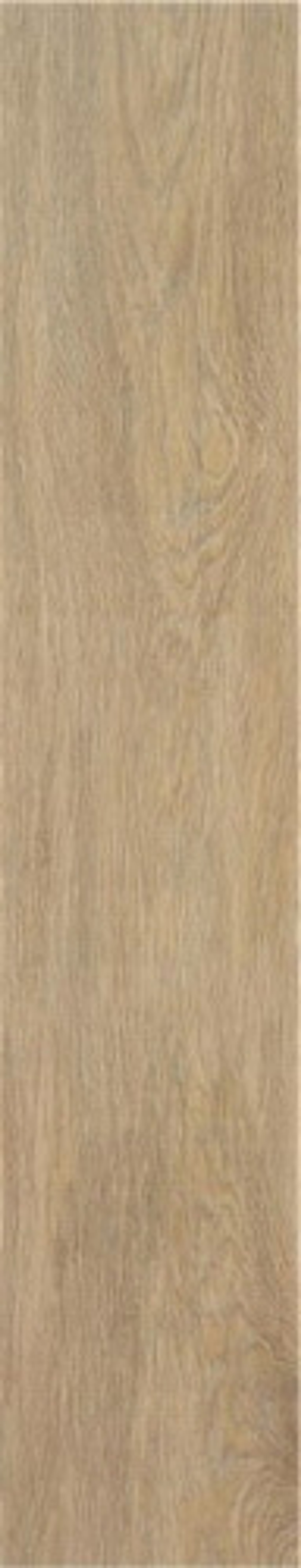 STN Tacora Camel Matt 22.7x119.5