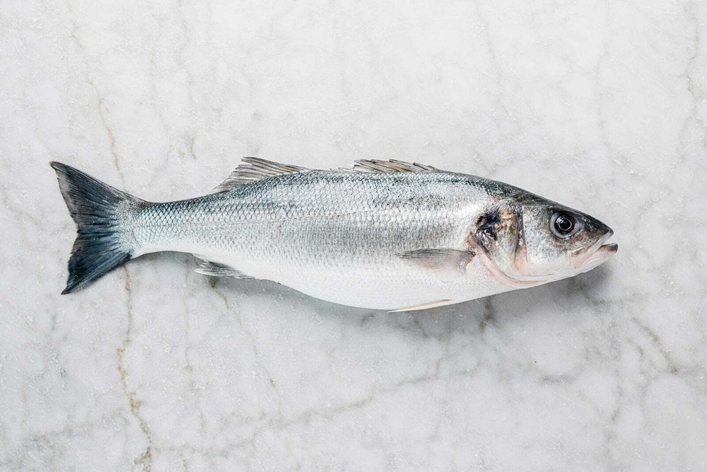 Рыба Сибас