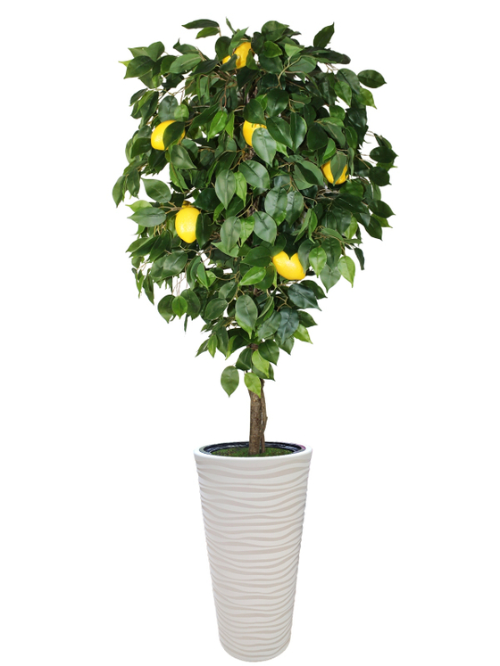 Искусственное дерево Лимон 190 см в высоком круглом белом кашпо