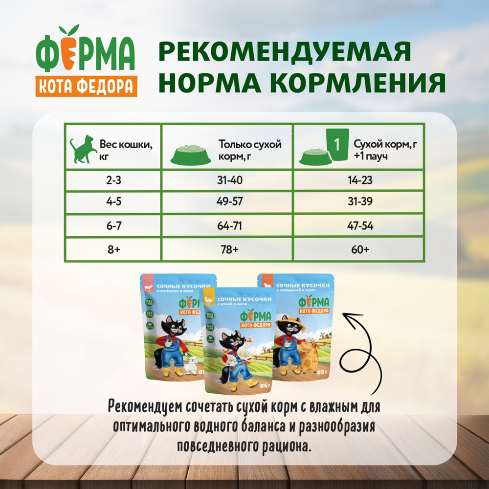 Сухой корм Ферма кота Федора для взрослых стерилизованных кошек с уткой 650 г