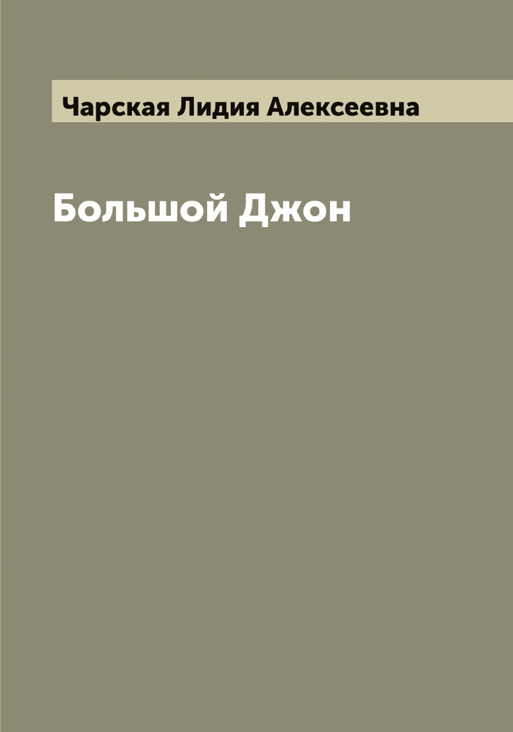 Большой Джон | Чарская Лидия Алексеевна