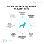 Premier Dog Mini Turkey Сухой корм для взрослых собак мелких пород с индейкой, 1 кг