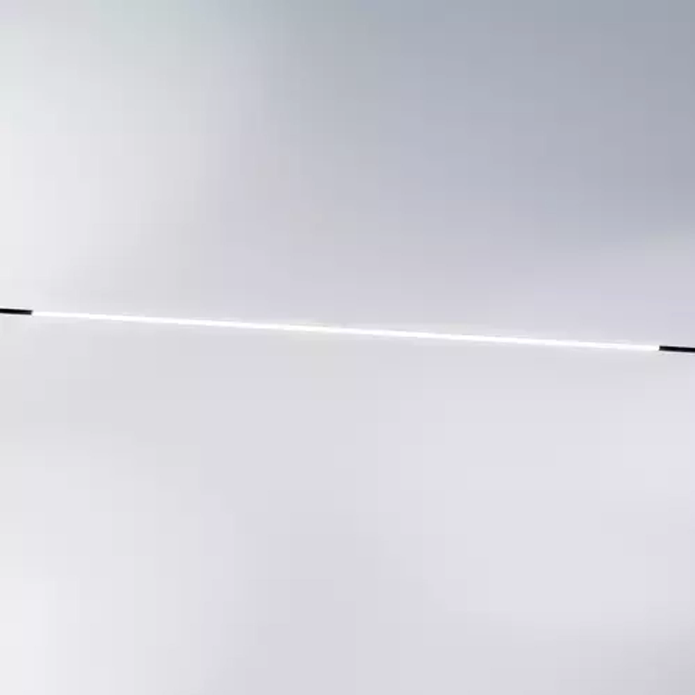 Трековый низковольтный светильник Lightstar Linea 206112