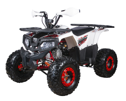 Квадроцикл YACOTA Fusion 125 PRO