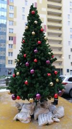 Уличная елка ствольная "Альпийская" (пвх) от 3 до 22 м