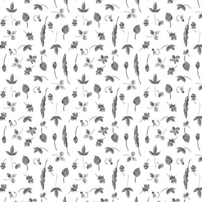 черно-белые листочки и ягодки