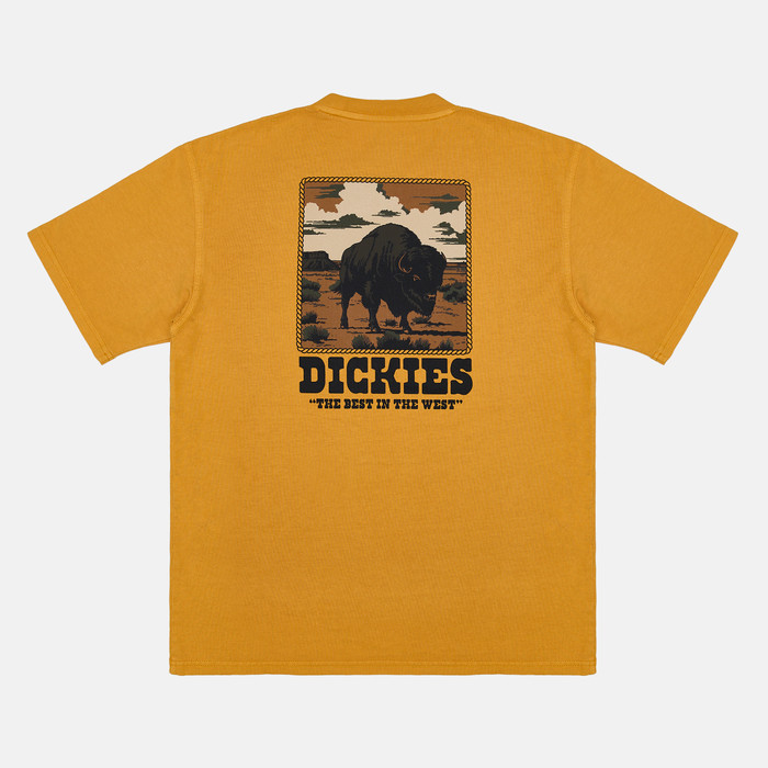 Футболка мужская Dickies Darrtown Short Sleeve Tee 