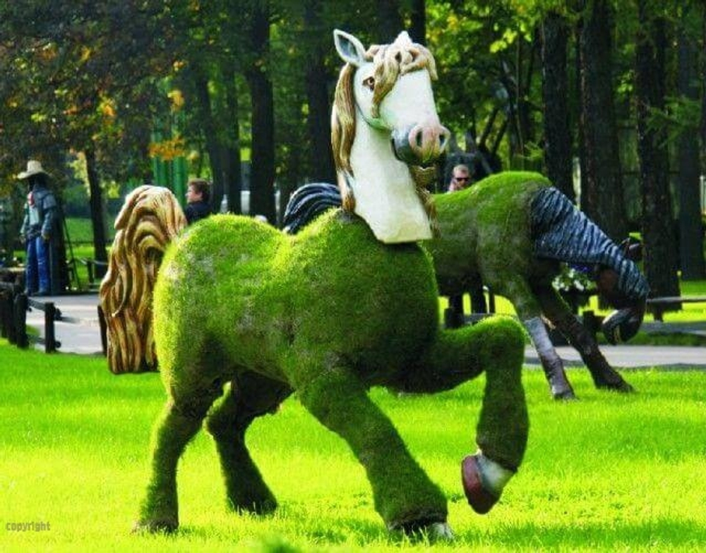 Топиарная фигура Конь