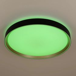 Citilux BOSS CL751451G LED RGB Светильник с пультом Чёрный с Золотом