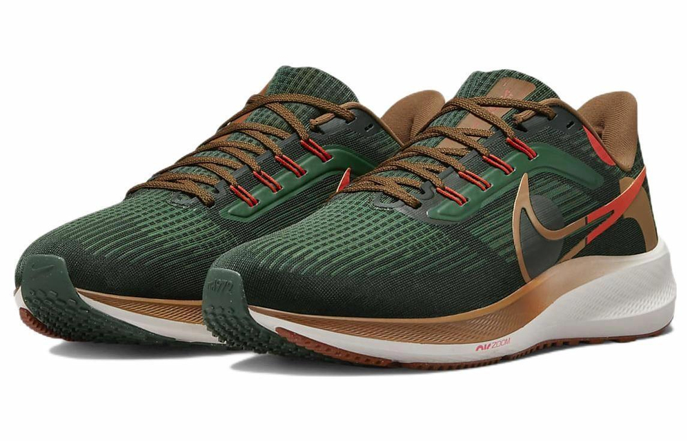 Кроссовки Nike Air Zoom Pegasus 39 "A.I.R. Hola Lou"
