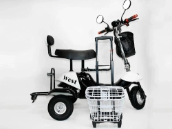 Электротрицикл EL-Sport SF8 Maxi 500W