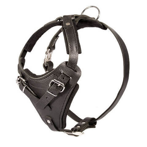 ШЛЕЙКА КОЖАНАЯ «АТАКА» Ш-201 XL черная