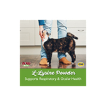 NOW Foods, Now Pets, L-лизин для кошек, 226,8 г (8 унций)