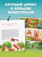 CLEVER-чтение. Приключения Шурочки и Мурочки (мягкая обложка)