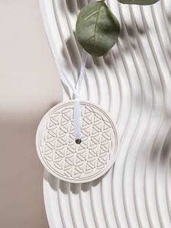 Сменный освежитель воздуха для шкафа. Аромасаше.