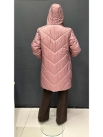 Куртка с капюшоном демисезонная