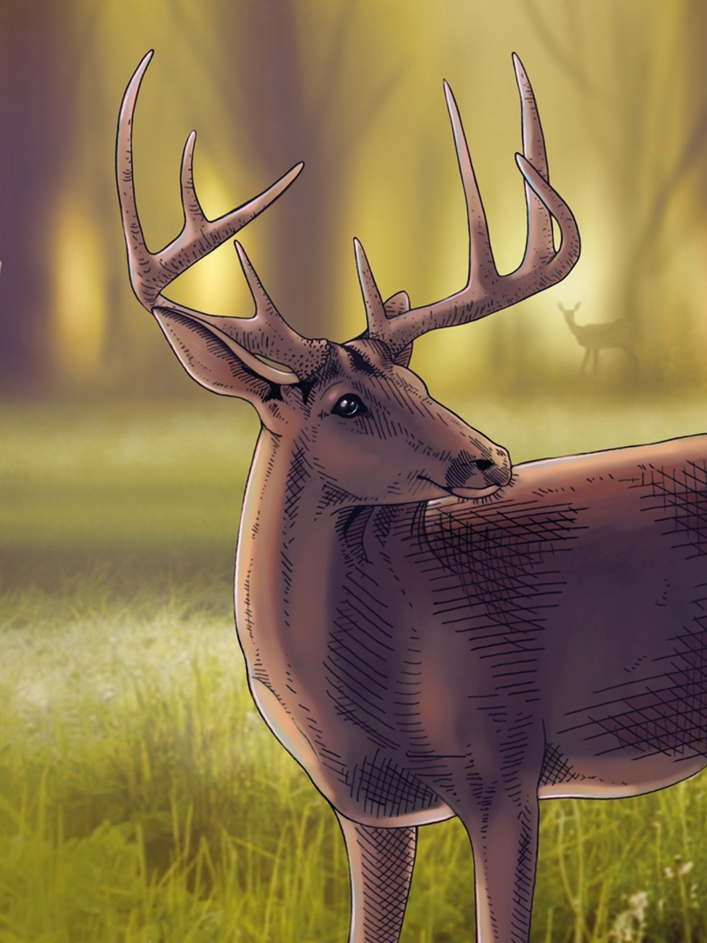 Экосистема