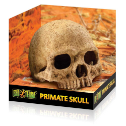 Hagen Exo Terra Primate Skull - декорация "Череп примата"