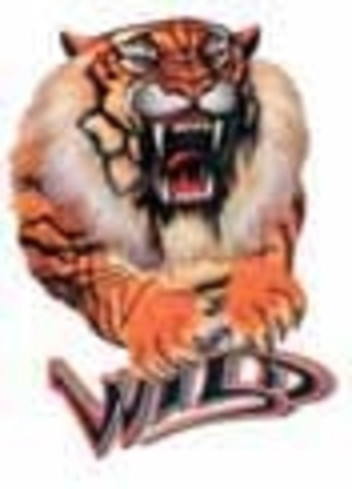 Наклейка "Тигр (Wild)" 16*12 полноцветная 06936