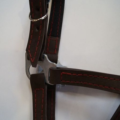 Недоуздок кожа