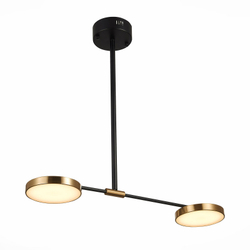 Светильник на штанге ST-Luce SL1605.403.02