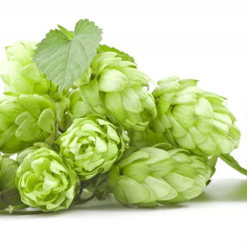 Хмель Московский ранний (Россия) 50гр. Альфа:3-5%