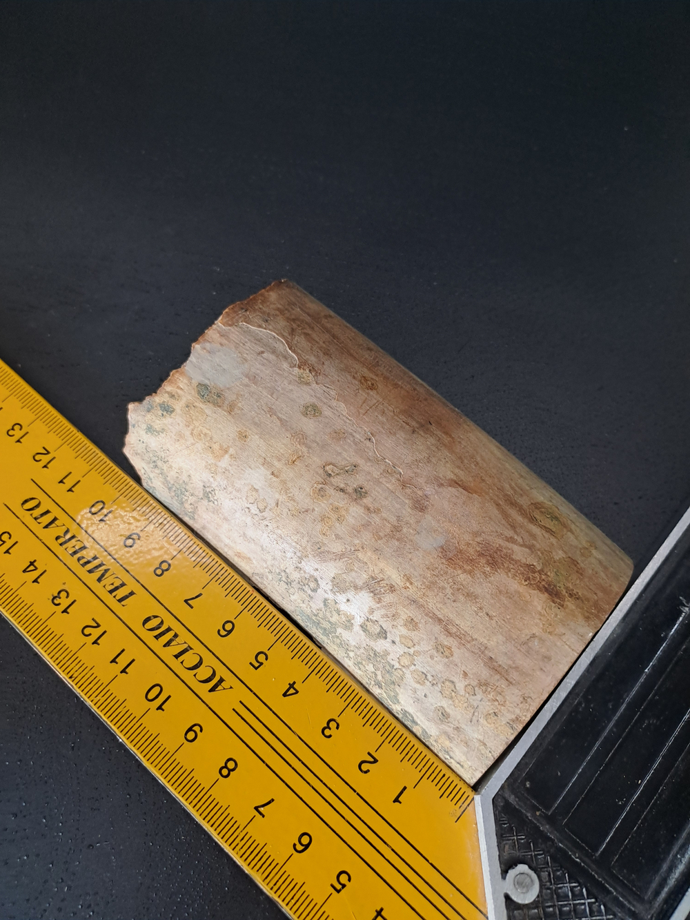 Бивень мамонта для коллекции и поделок