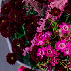 53. Букет с хризатемами сантини в бордовых оттенках