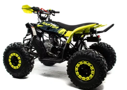 Квадроцикл MOTOLAND (МОТОЛЕНД) 125 RAPTOR A