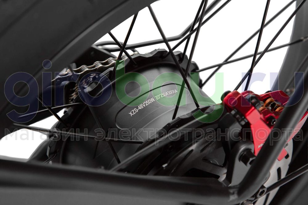 Электровелосипед Syccyba Impulse X20 Lite (48V/20Ah) - Спицы фото №14