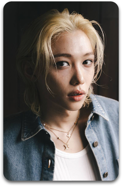 Карта / STRAY KIDS #2742