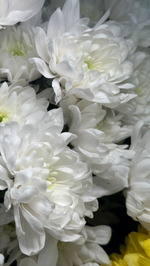 9 альстромерий и 8 хризантем