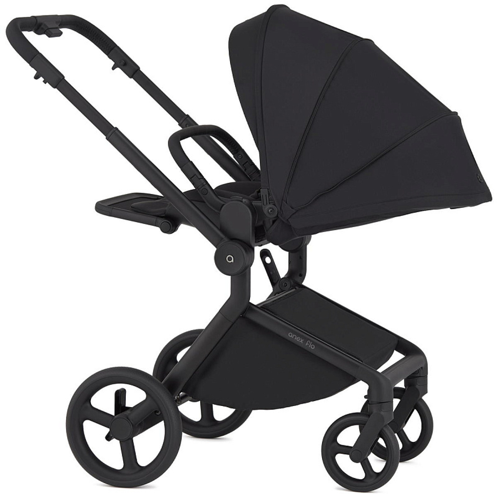 Детская коляска Anex Flo 2 в 1 Lungo