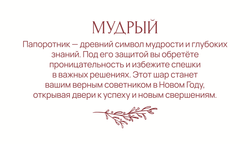 Статусный шар Мудрый в wow-упаковке